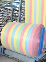 PP Fabric Packed In Roll